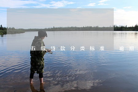 五级贷款分类标准 逾期时间 五级贷款分类标准 逾期时间